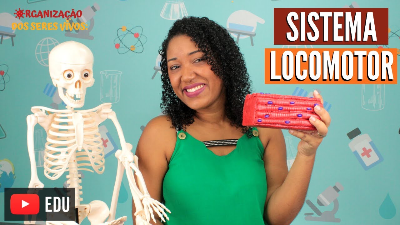 Sistema Locomotor Ep. 11 | Prof&ordf; Rafaela Lima