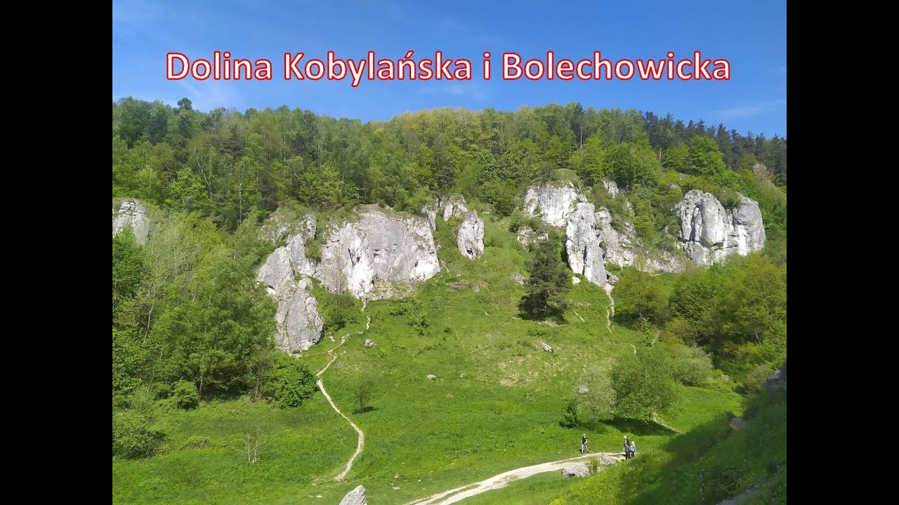 Dolina Kobylańska i Dolinka Bolechowicka z drona i z ziemi. Dolinki Krakowskie. Dolinki Jurajskie 4K