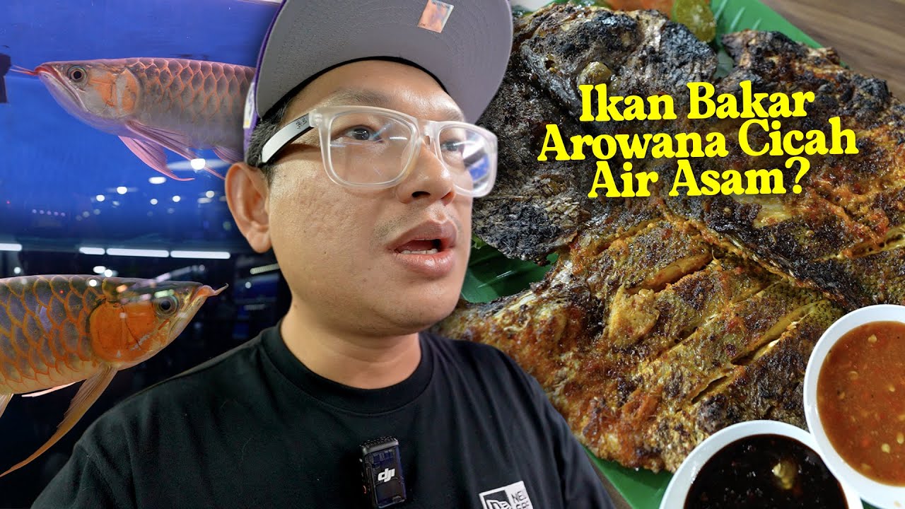 Orang Somban Wajib Kasi Support Port Baru Makan Ikan Bakar Ini!