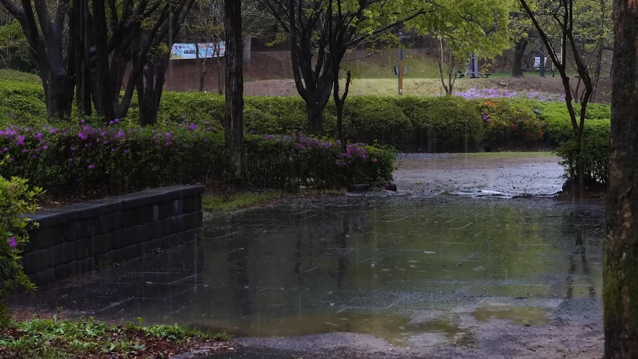 GENTLE RAIN SOUNDS - Relax, Reduce Anxiety, and Sleep Soundly, Say Goodbye to Insomnia