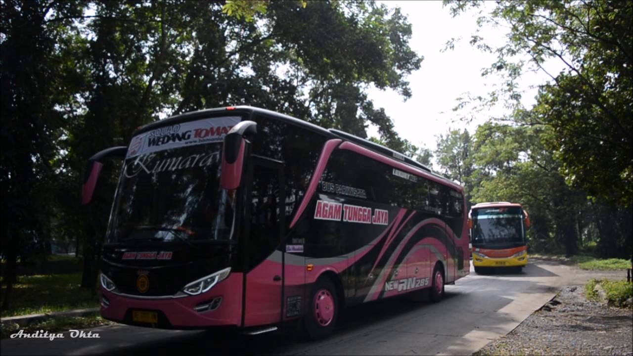 Konvoi 30 bus jambore nasional bismania community 2016 | Perang telolet dan klakson