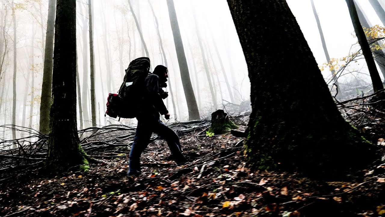 Felsenland Sagenweg | Pfälzer Wald (Herbst)