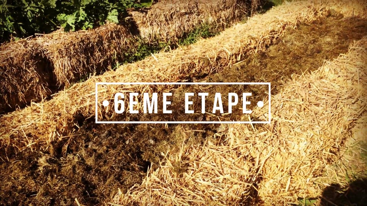 BUTTE EN LASAGNE (Herbe & Paille) Tutoriel Permaculture