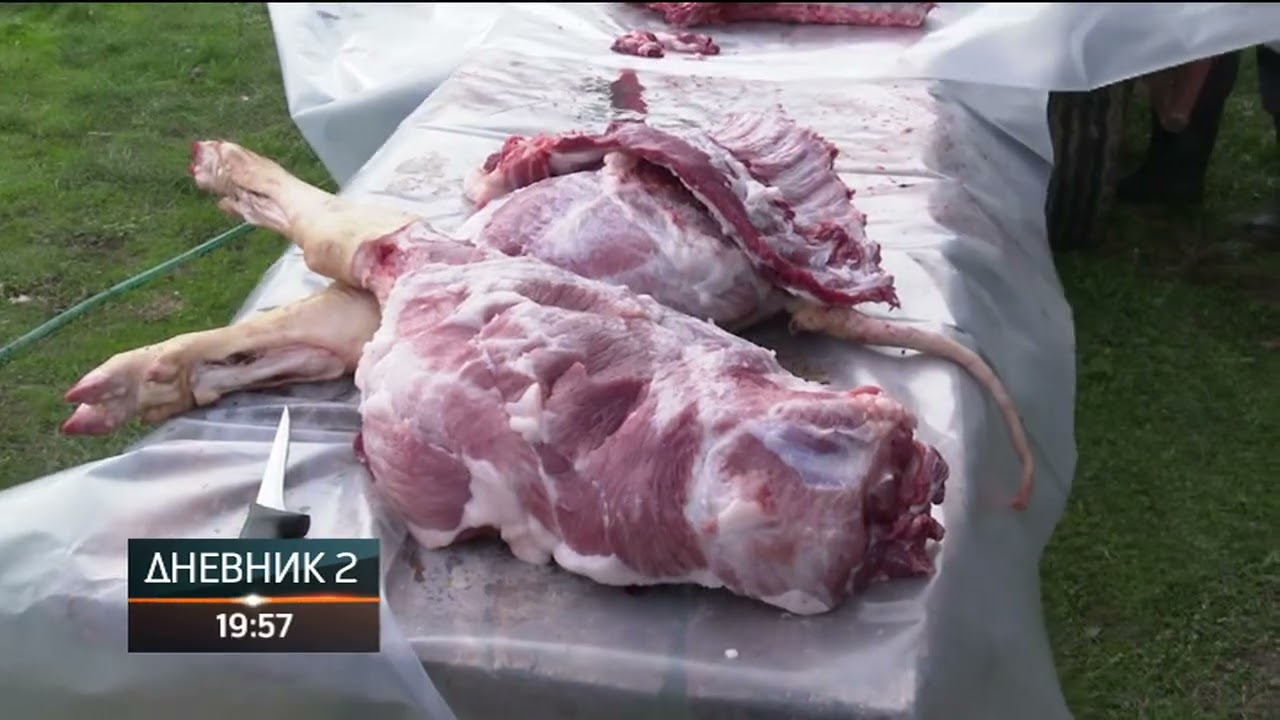 Tradicionalni svinjokolj u Semberiji u manjem obimu zbog afričke kuge