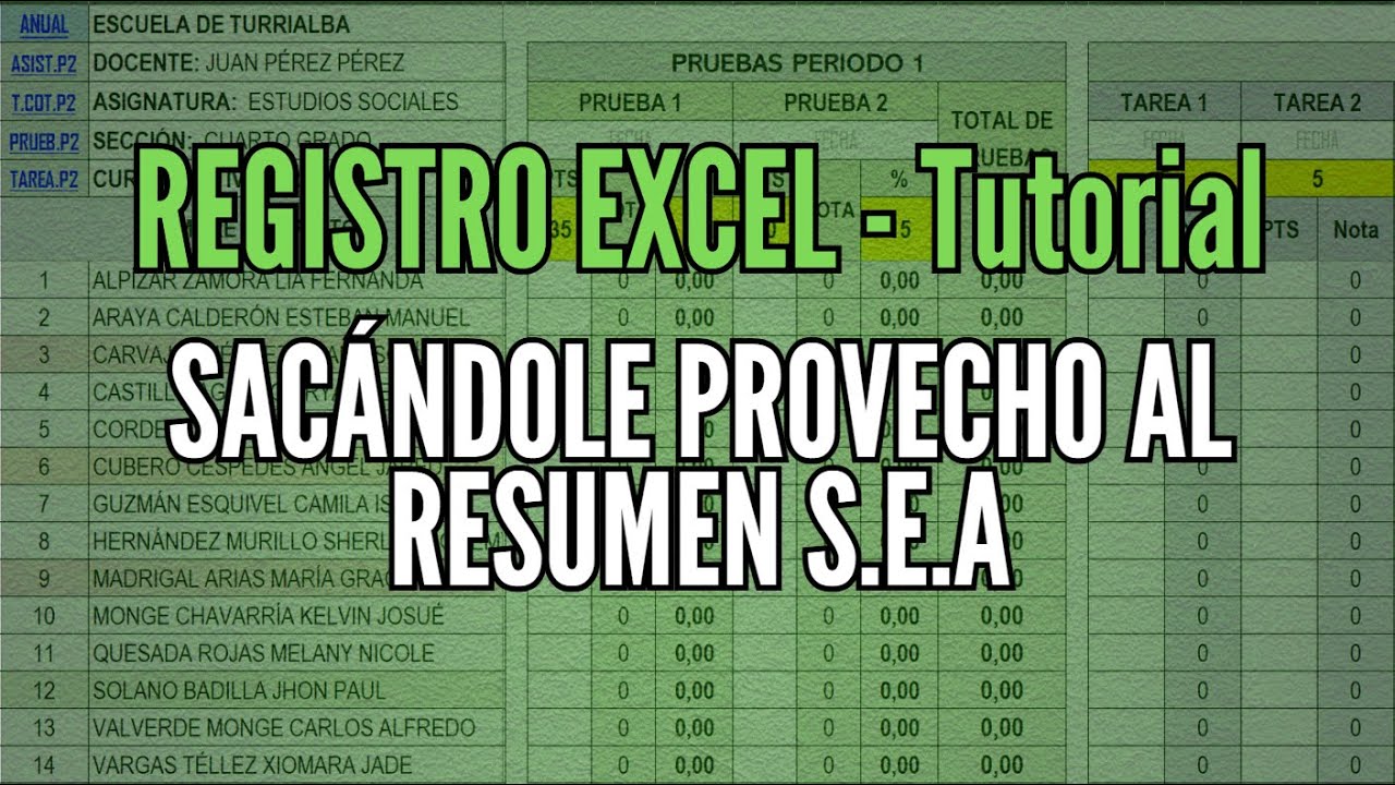 [831] Registro EXCEL 2026 [Tutorial] 📖 Cómo sacar provecho al Resumen SEA
