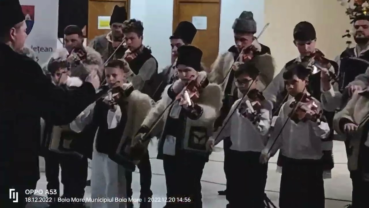 Luca Vaida - Orchestra Școlii Populare de Artă "Liviu Borlan" Baia Mare