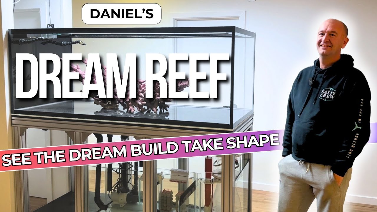 Daniel's Dream Reef Build