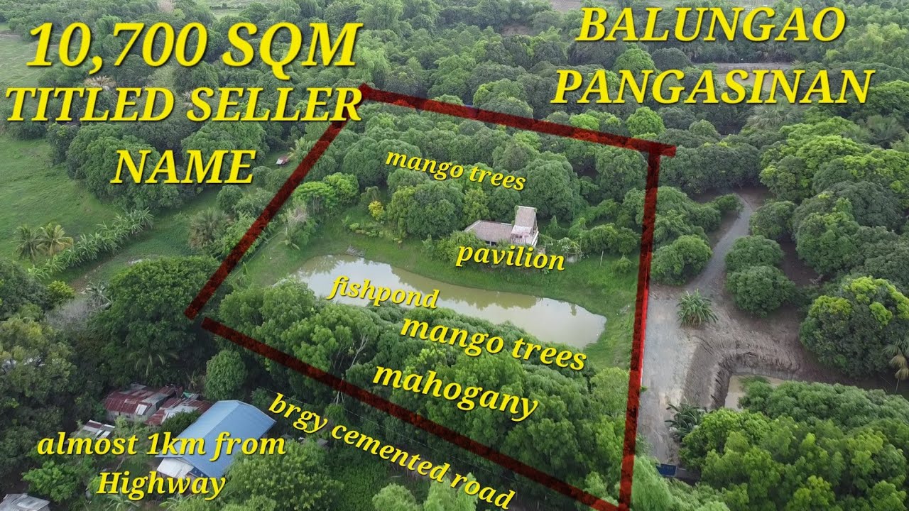 #vlog #358 RESIDENTIAL FARMLOT 10,700 SQM BALUNGAO PANGASINAN