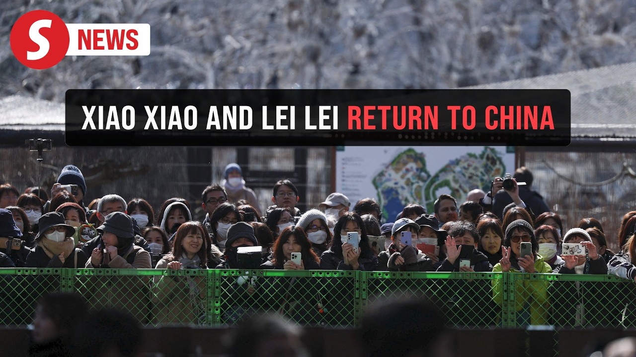Japan's last pair of pandas arrives in China