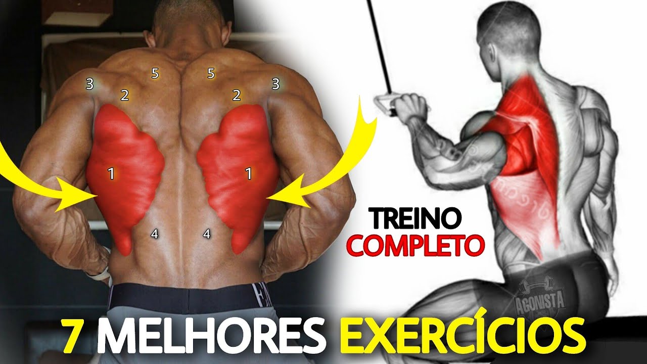 7 Exercícios Super Treino de Costas C/ Foco em dorsais e deltoide posterior