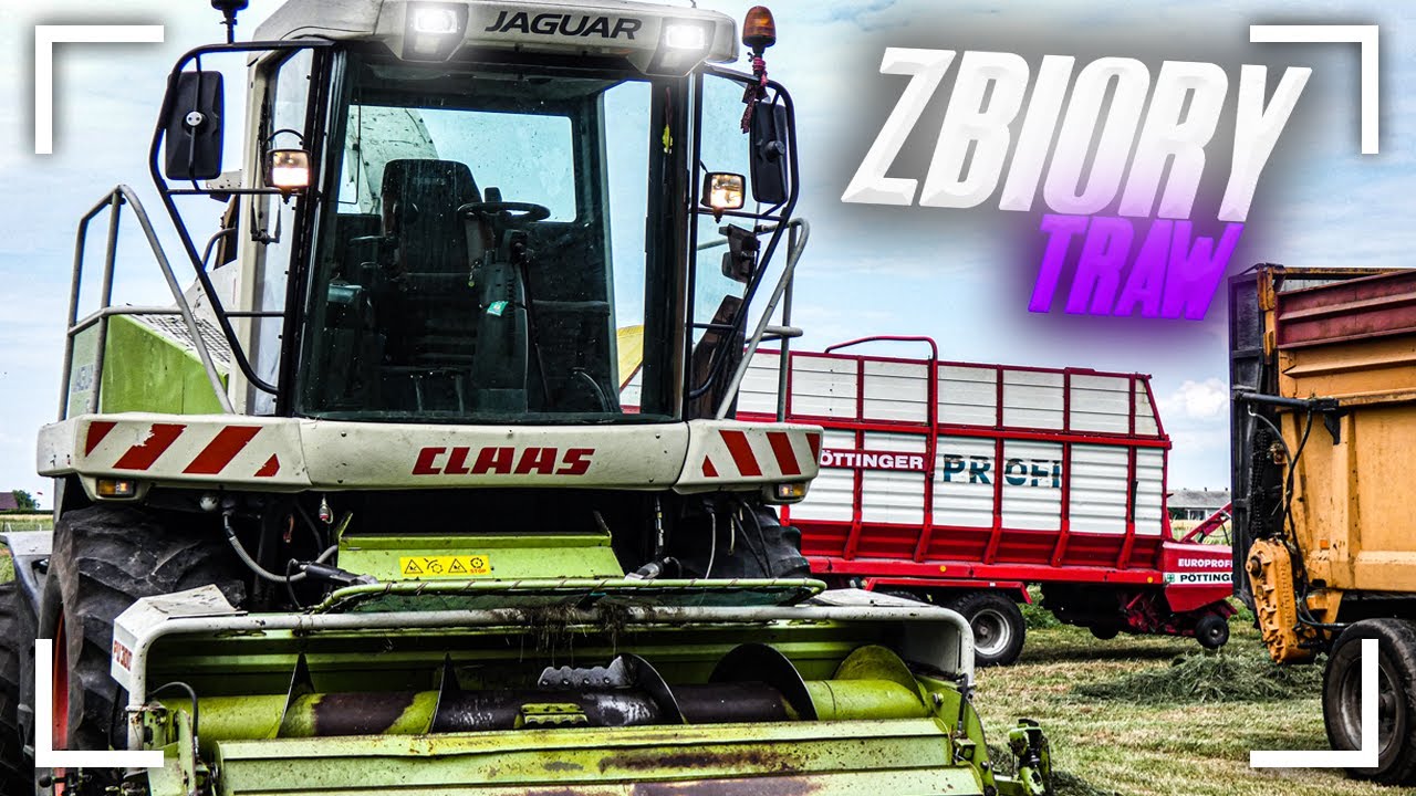 ☆ 🇵🇱Zbiór Traw 2021 na wesoło ! ☆ UR. 