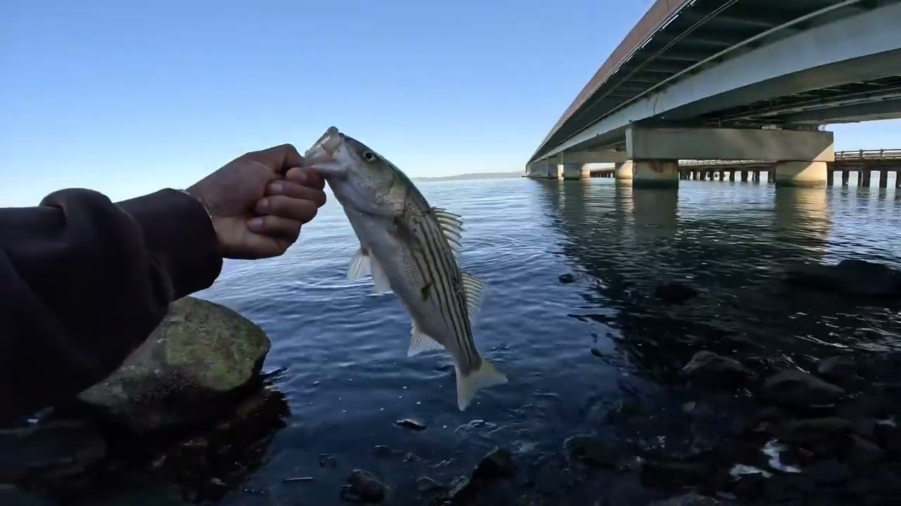 Fishing Around The San Francisco Bay
