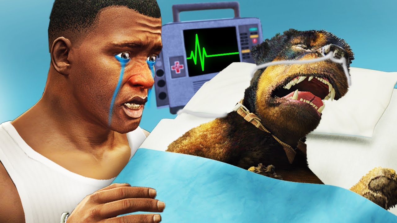 Что случилось с CHOP в GTA 5 (печальная история)