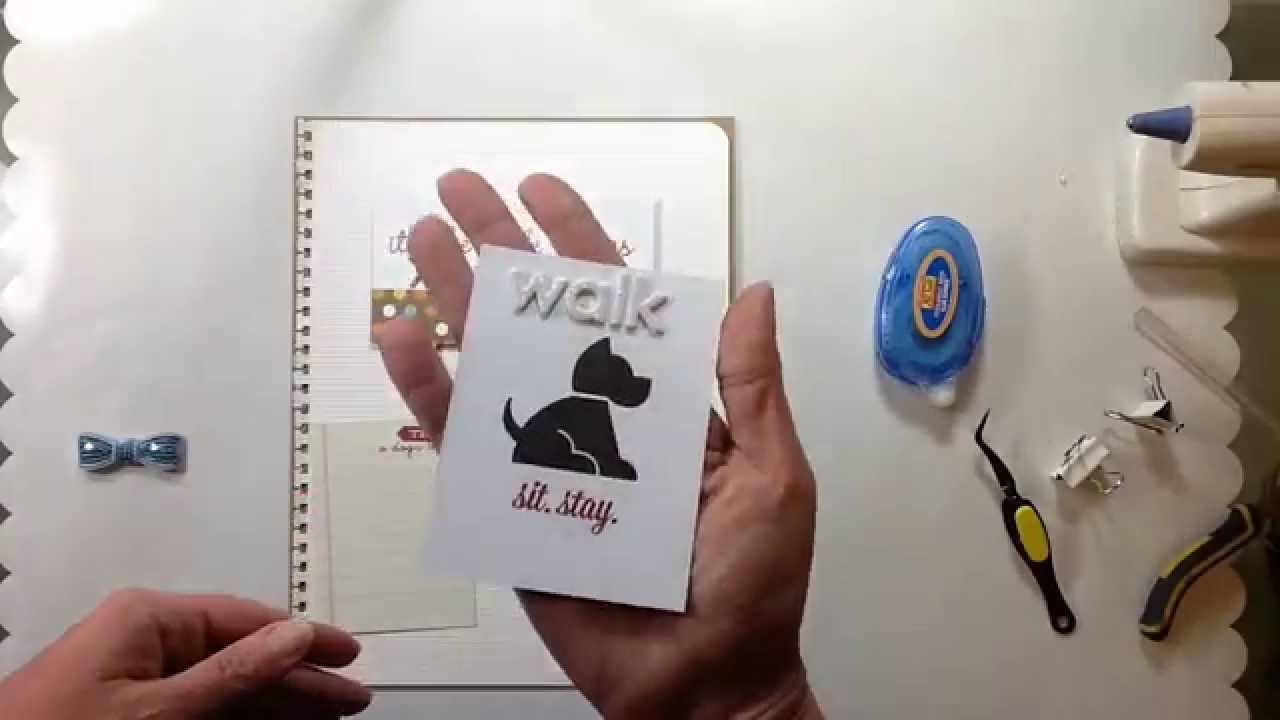walk process video