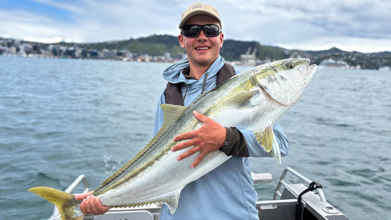 Wellington Harbour Delivers: Kingfish Action & Rare Dolphin Encounter!