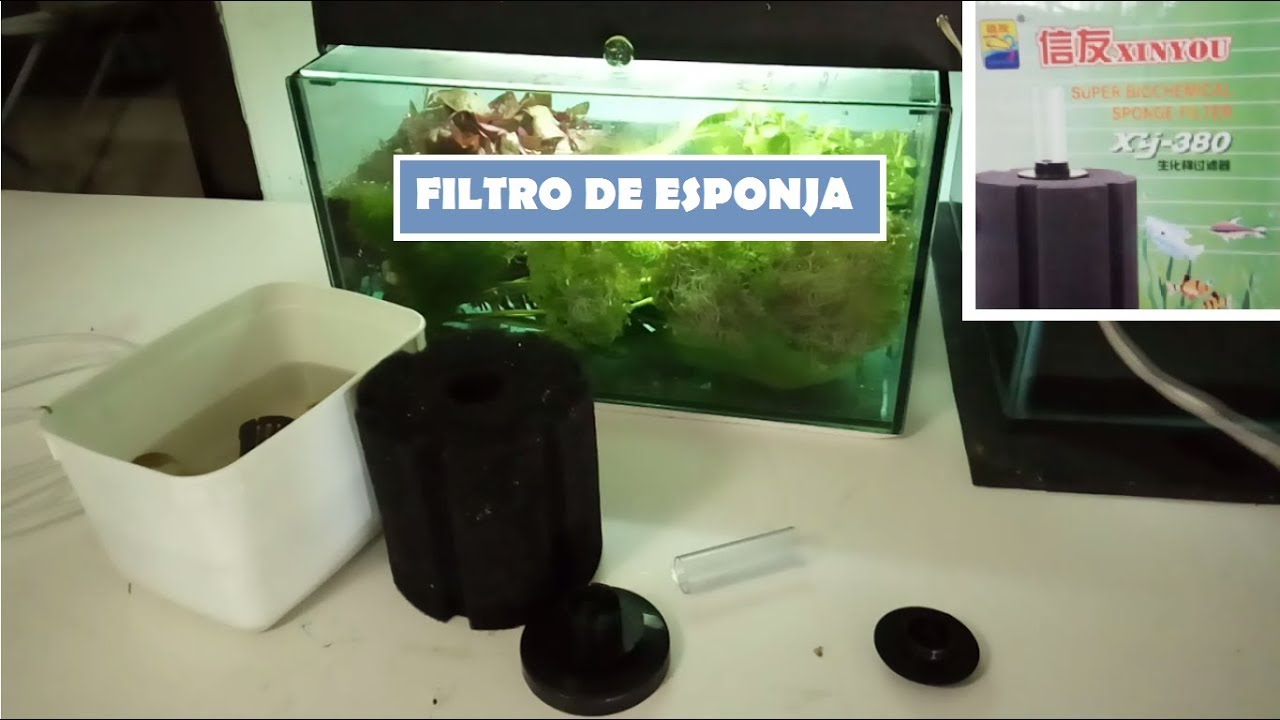 Aquários da Elle - filtro de espuma 4#