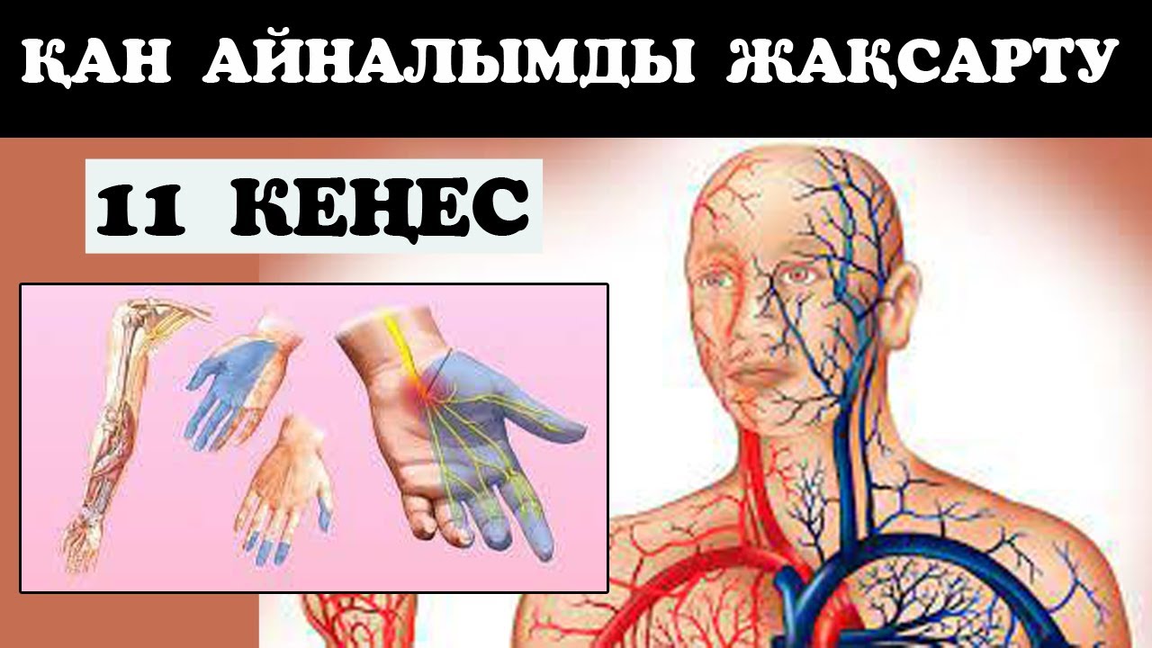 Бүкіл дененің ҚАН АЙНАЛЫМ жүйесін жақсартуға арналған қарапайым 11 КЕҢЕС