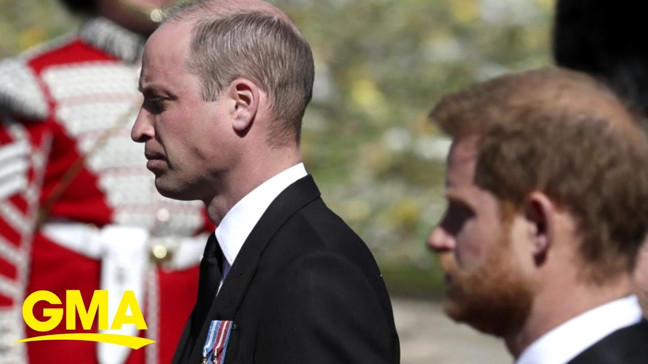 Princes William and Harry to reunite at unveiling of Diana statue l GMA