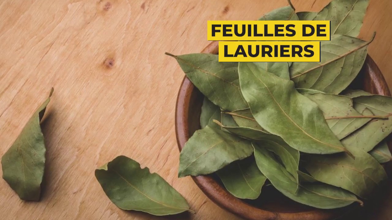 Les &eacute;ditos de #mineapollo: Le Curry