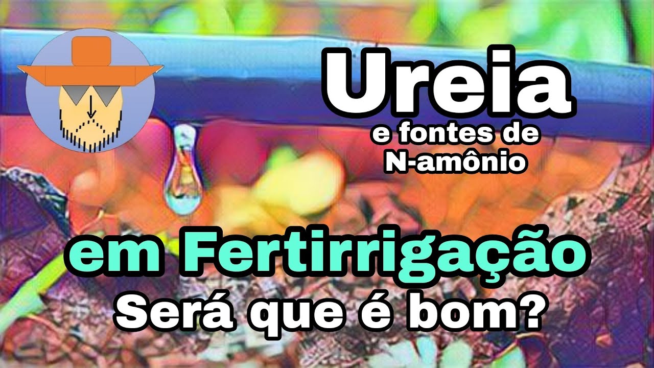Fertirrigação - ureia e nitrogênio amoniacal x pH do solo