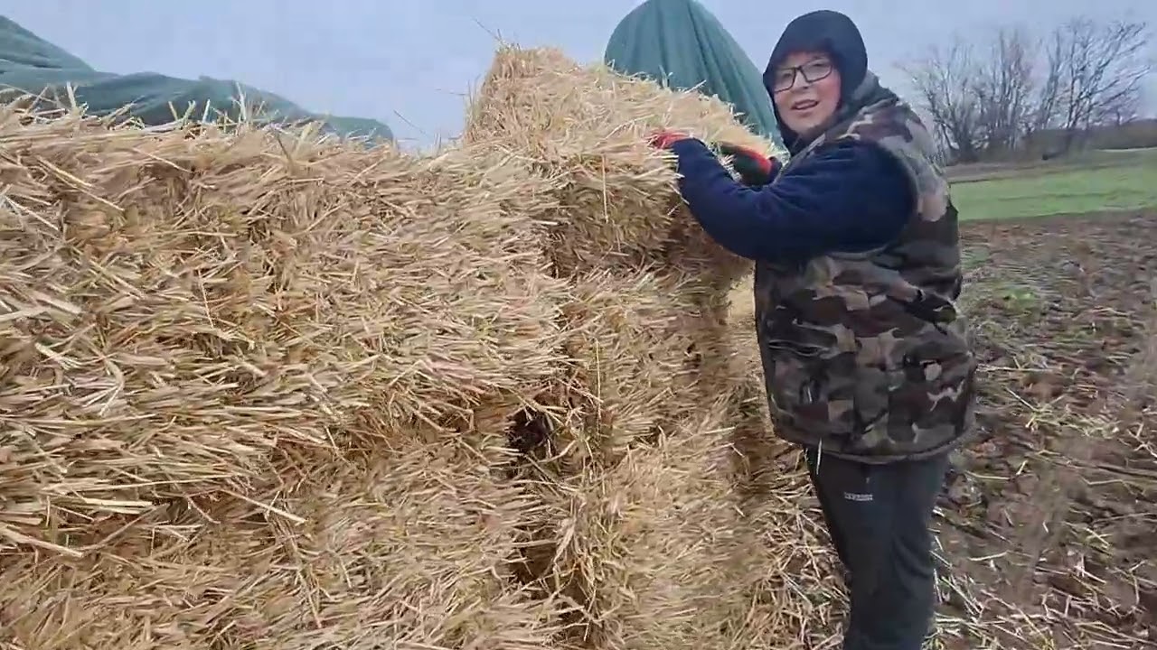 Vigyázzatok csaló !
