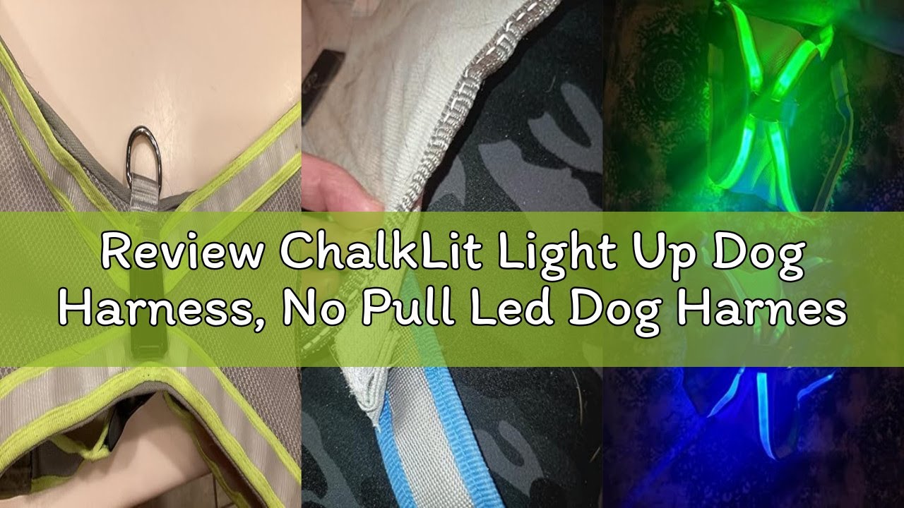 Review ChalkLit Light Up Dog Harness, No Pull Led Dog Harness Glow-in-The-Dark for Night Walking, US