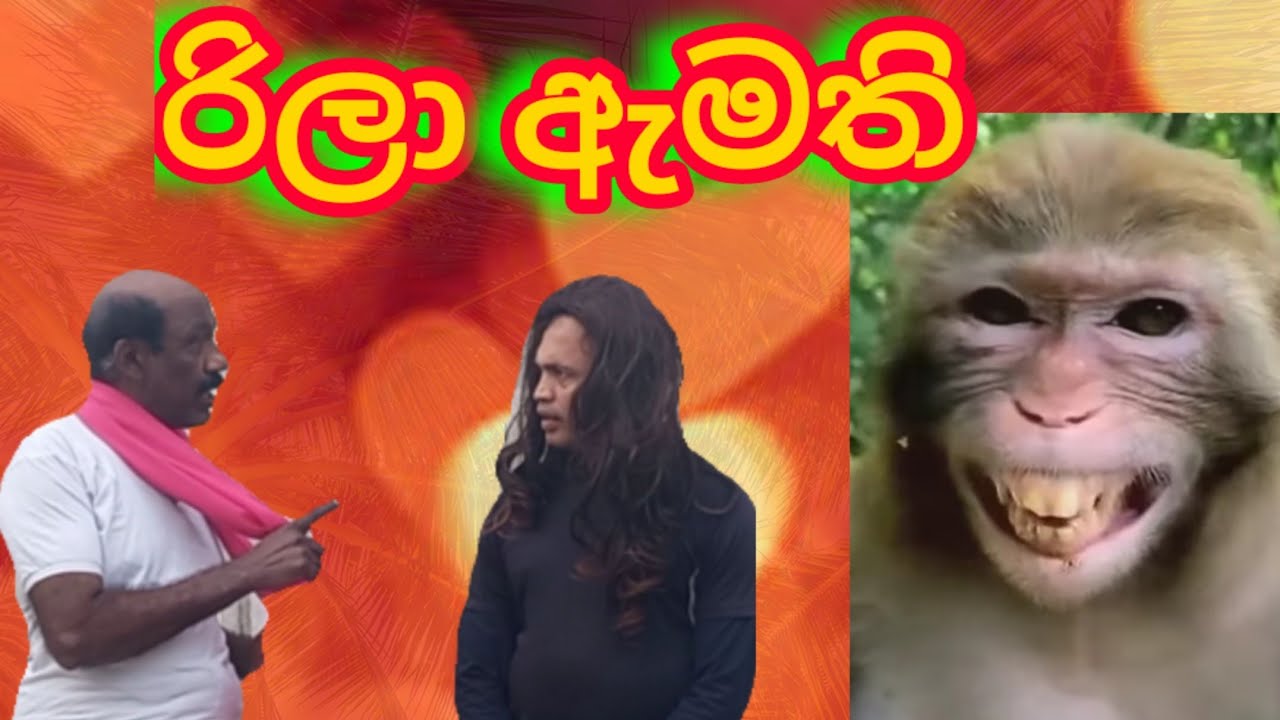 වැල්වටාරම් අංක 73/රිලා ඇමති 