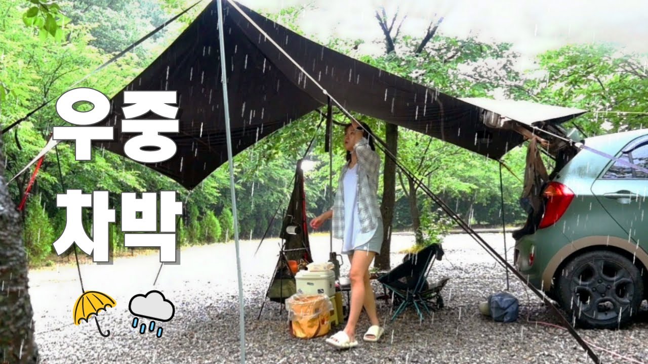 [30]경차모닝차박/아무도 없는 숲 속 캠핑장에서 나홀로 우중차박🌧☂️/대형타프혼자치는법/애견동반캠핑