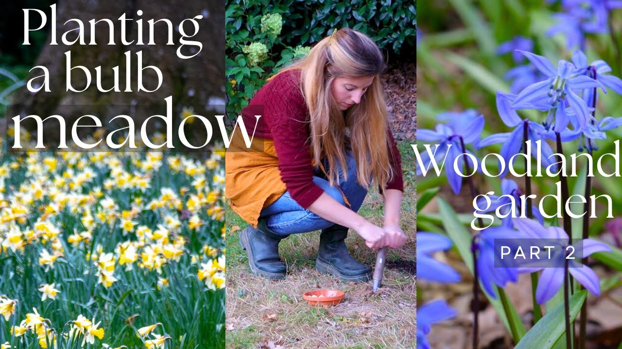 Creating A SPRING BULB MEADOW 💛🌳 Planting Daffodils, Muscari & more in Grass (Woodland garden p2)