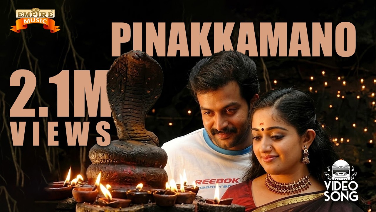 Anandhabhadram | Pinakkamano Ennodinakkamano | Scene 16 | Malayalam Movie | Prithviraj