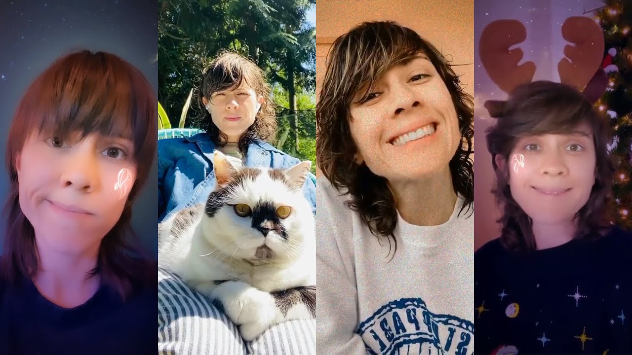 Best of Tegan & Sara's Instagram Stories 2020