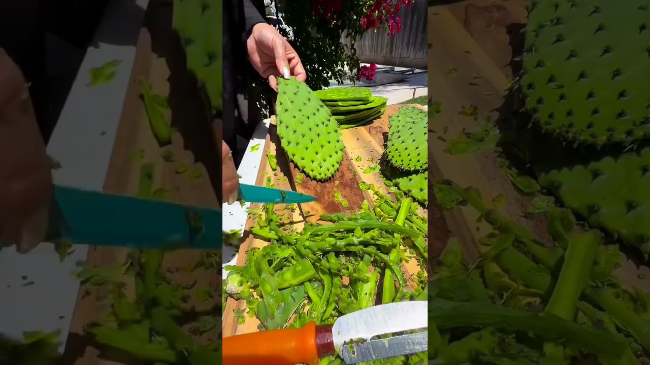 Cactus has special benefits #shortvideo #cactus #farmer