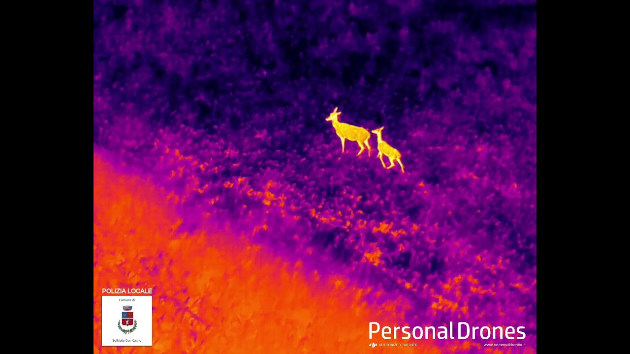 DJI Mavic 2 Enterprise Advanced - Thermal Camera - NIGHT CLIP#2