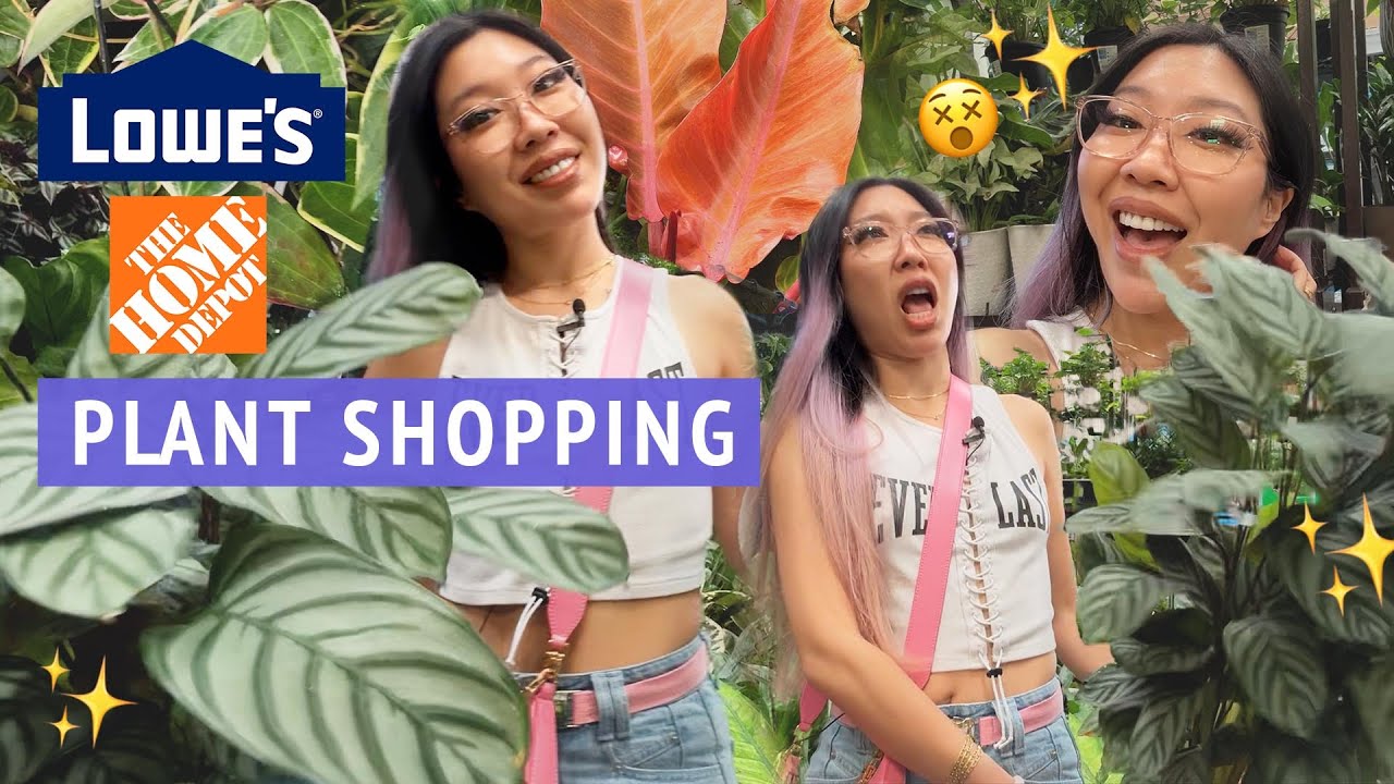 PHILODENDRON HAUL 🥰🛍️ Fun houseplant shopping at Lowe's and Home Depot in Southern California 😄