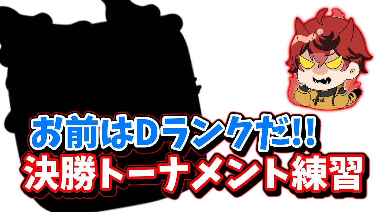 【城ドラ】”公式大会決勝トーナメント直前”エグいリーダーを触って発狂するタイガ【城とドラゴン|タイガ】