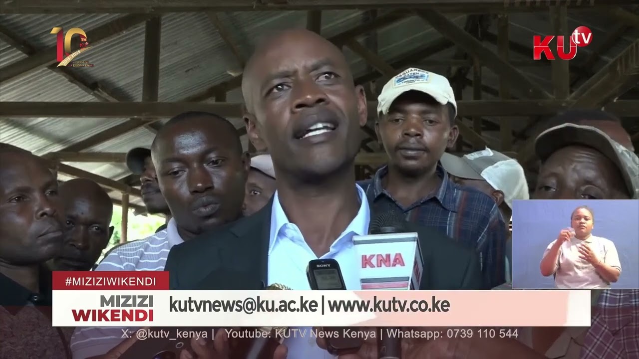 Uzalishaji wa Kahawa Murang’a Waongezeka kwa Kiwango Kikubwa Viwandani