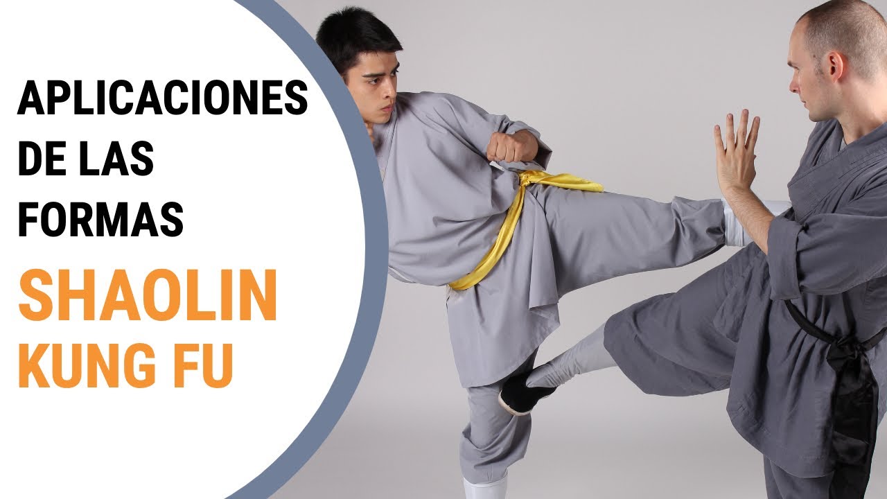 ❌ LO QUE NADIE ENSE&Ntilde;A | Como aplicar las formas de kung fu | Defensa personal