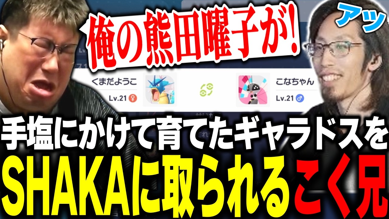 【ポケモンZA】手塩にかけて育てたギャラドスをSHAKAに取られてしまうこく兄【SHAKA/なるお/マゴ/ファン太/Shuto/総師範KSK/どぐら】(2026/2/11)