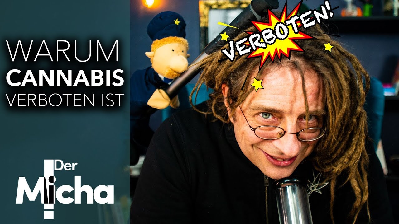 Warum ist Cannabis VERBOTEN? 🚫
