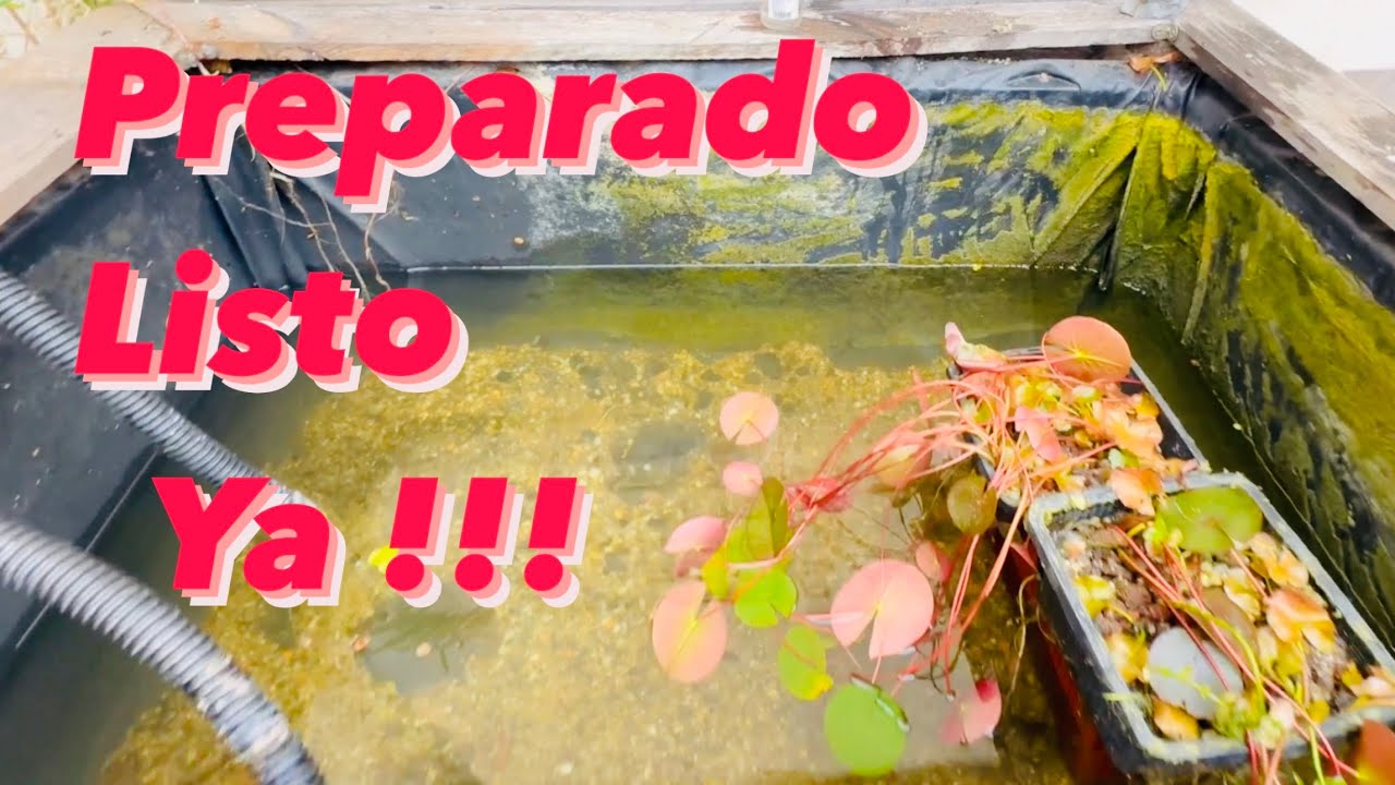 ESTANQUE PREPARADO, LISTO , YAA !!!