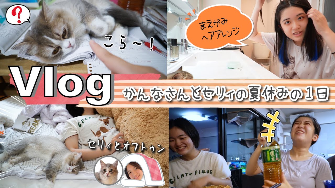 ★Vlog★かんなさん、セリィにネコハラされていた夏休みの1日ｗ