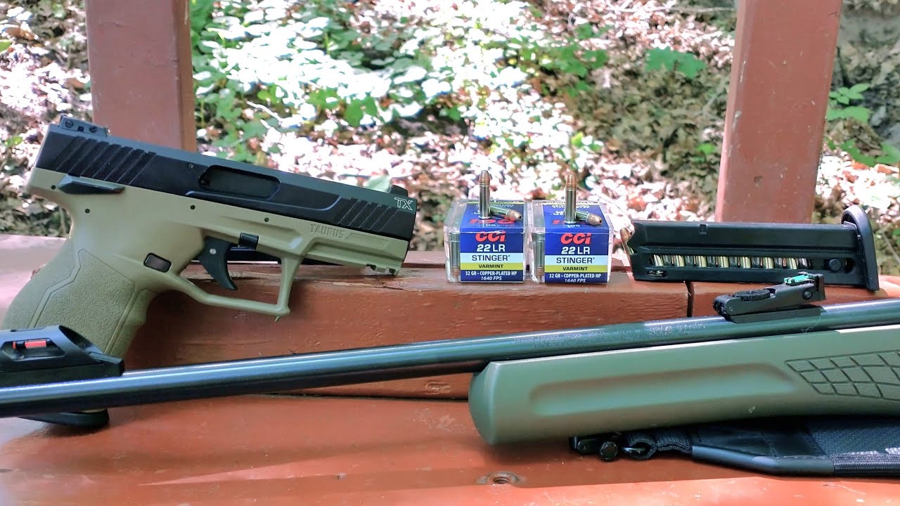 CCI Stinger .22 LR Ballistic Test - Rifle VS Pistol