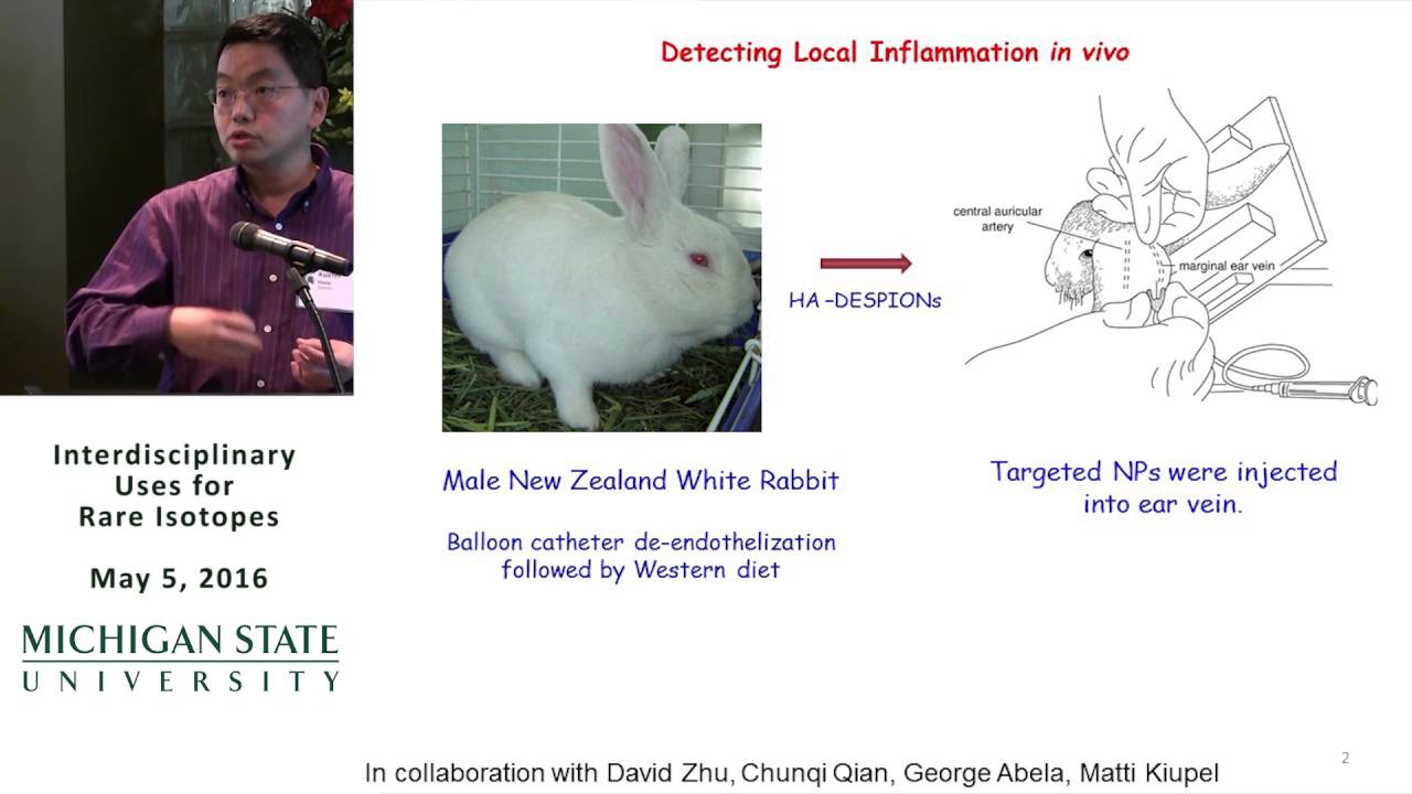 Magnetic Nanoparticles for Molecular Imaging and Targeted Drug Delivery - Xuefei Huang