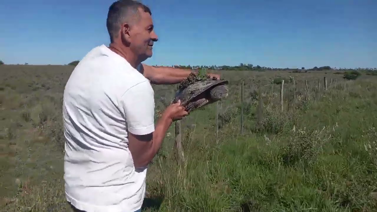 Como se vive en el campo 2023¡ #Goya #argentina  #viajandoconcefer #pueblo #campo