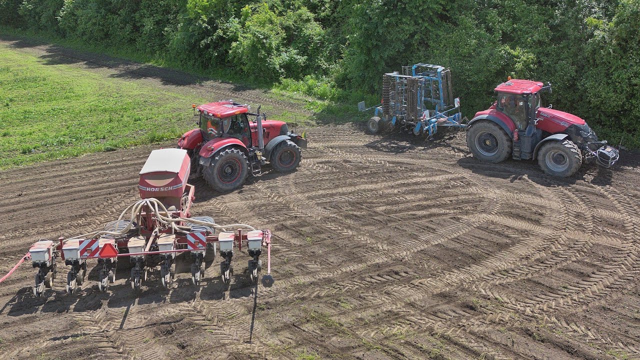 Подготовка почвы и посев сорго Case IH Optum 300 cvx и Puma 210, Farmet и Horsch