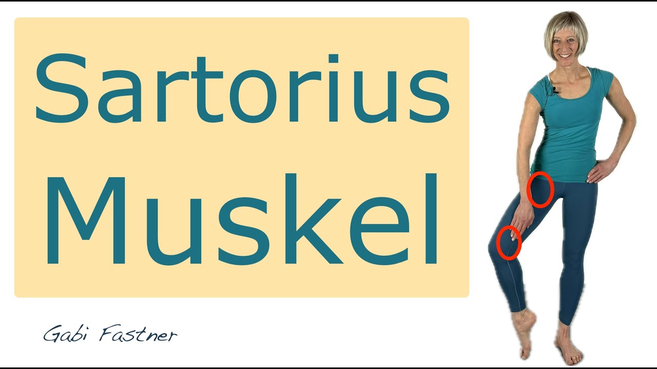 💡15 min. Sartorius- /Schneider-Muskel | schmerzfrei und mobil durch Bewegung, ohne Geräte