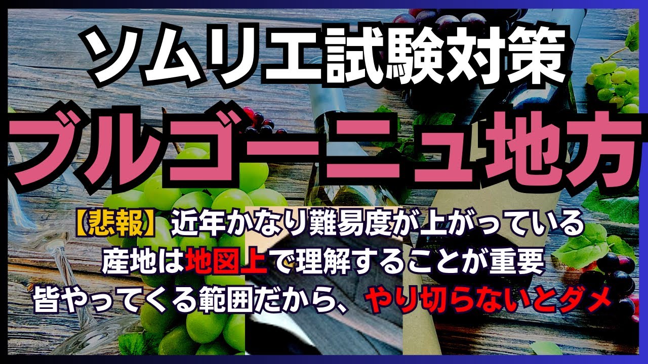 #9【2024年】ブルゴーニュ地方　ソムリエ試験対策　(ワインソムリエ・ワインエキスパート　独学)