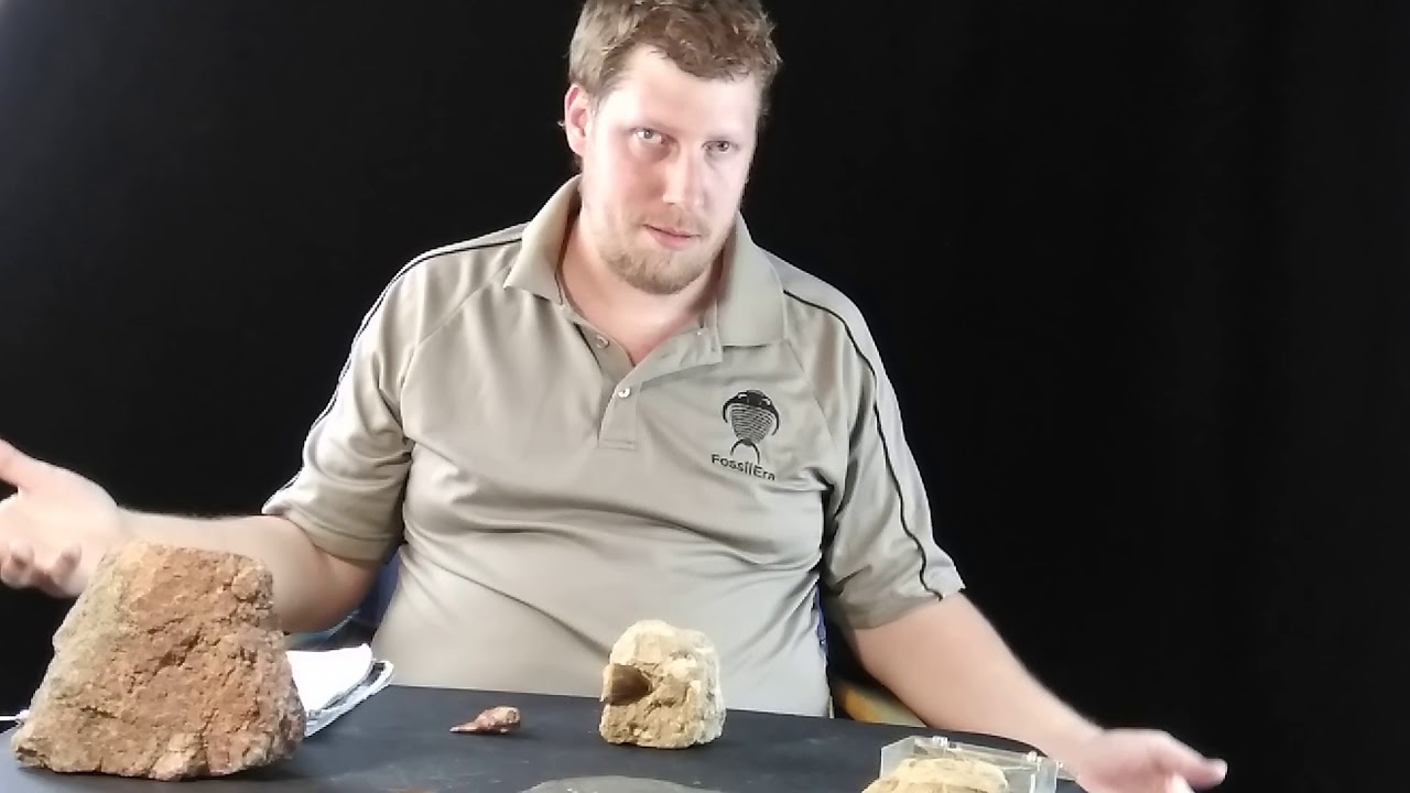 Moroccan Fossils