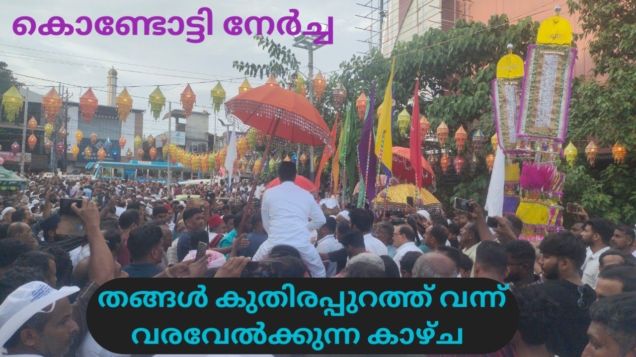 കൊണ്ടോട്ടി നേർച്ച തങ്ങൾ കുതിരപ്പുറത്ത്  വന്ന് വരവേൽക്കുന്നു❤️👌 /Kondotty nercha | Pettivaravu