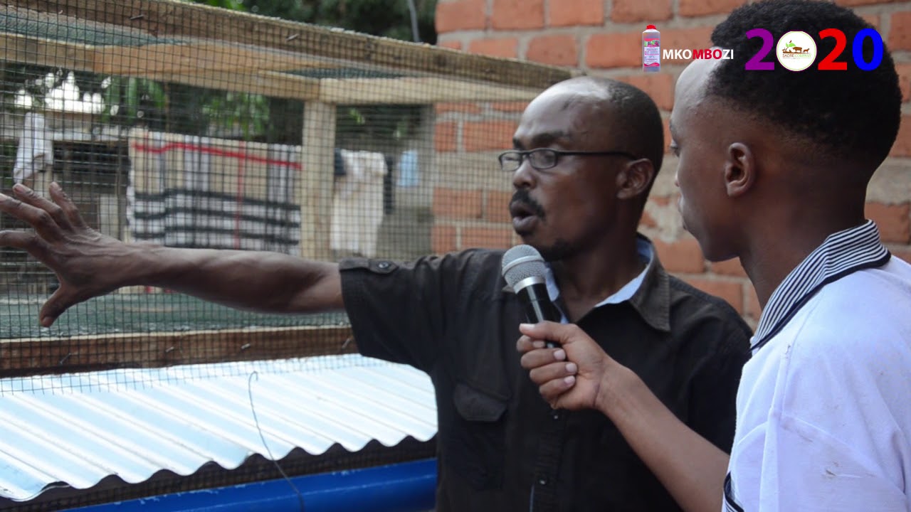Askof karagwe awashirikisha mapadre fursa ya ufugaji sungura